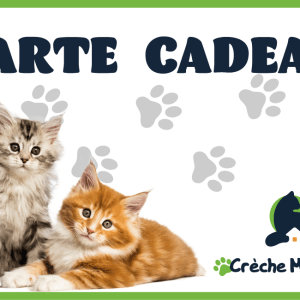 Carte Cadeau