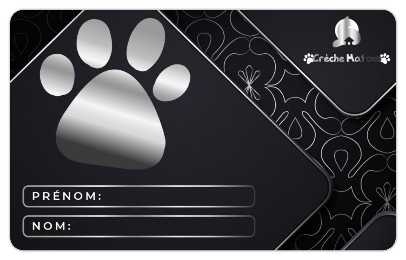 Pass VIP – Image 3