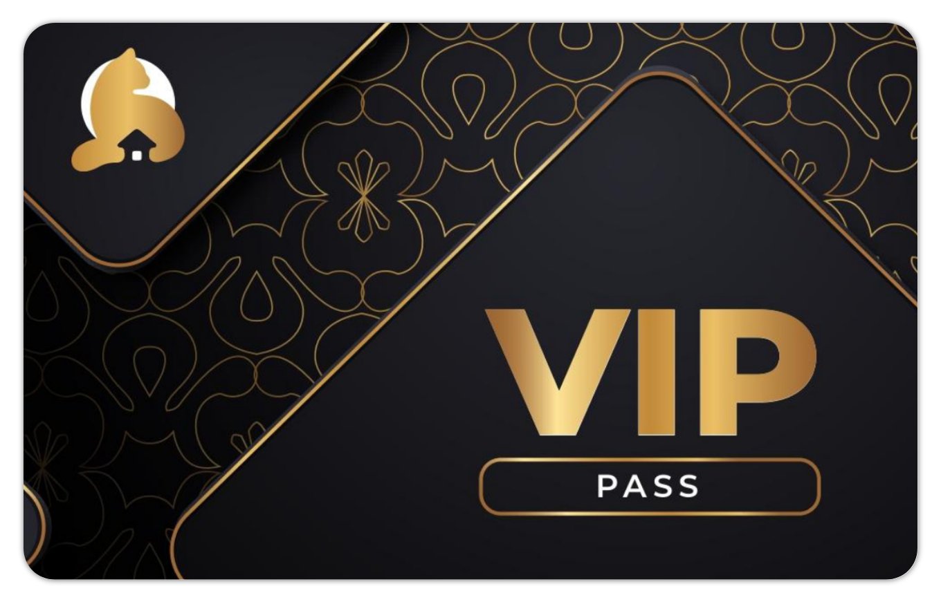 Pass VIP – Image 4