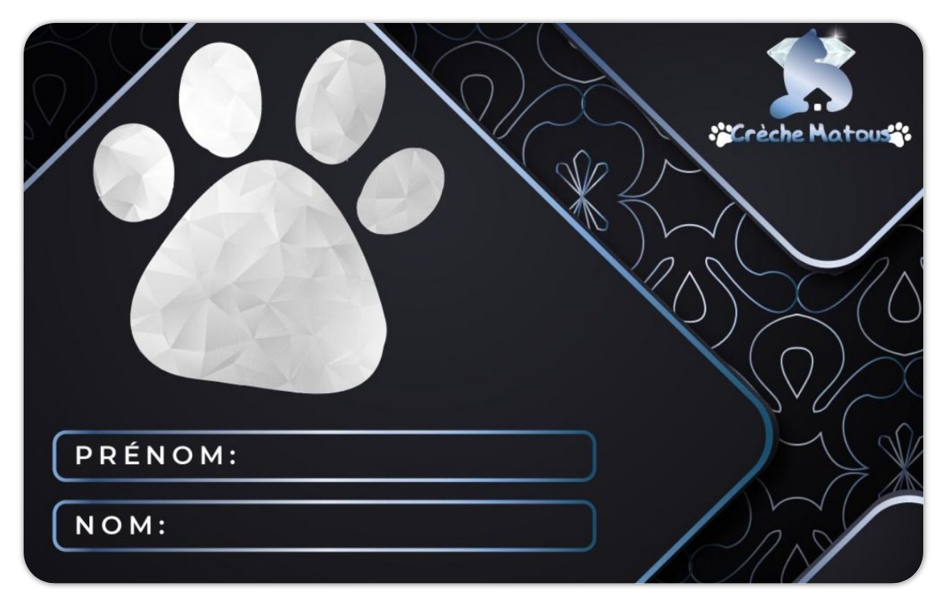 Pass VIP – Image 7