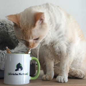 Mugs Crèche Matous